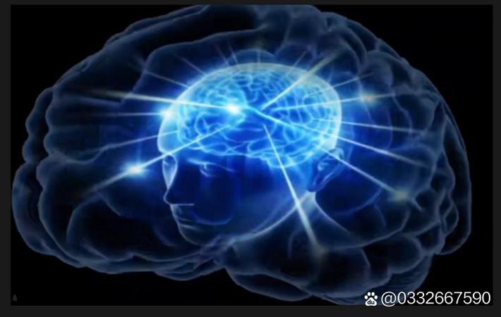网红博主直播翻车现场：与粉丝激烈争吵全程录像流出